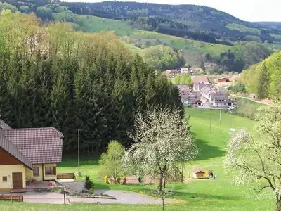 Ferienwohnung für 4 Personen (60 m²) in Schuttertal 2/10
