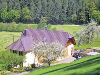 Ferienwohnung für 4 Personen (60 m²) in Schuttertal 3/10
