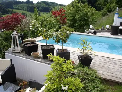Ferienwohnung für 4 Personen (75 m²) in Schuttertal 9/10