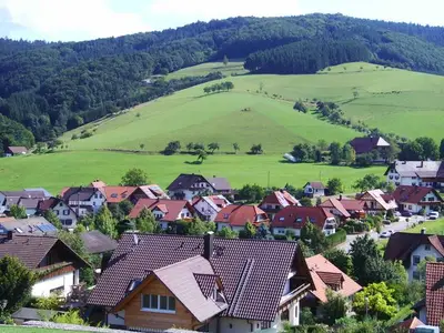 Ferienwohnung für 4 Personen (70 m²) in Schuttertal 6/10