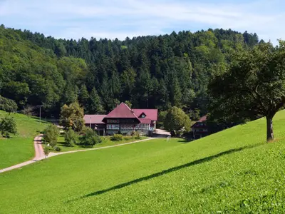 blick_auf_den_hof
