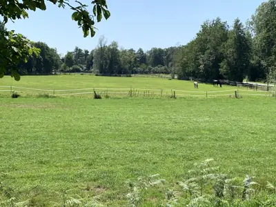 Ferienwohnung für 4 Personen (50 m²) in Schüttorf 7/10