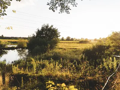Ferienwohnung für 4 Personen (50 m²) in Schüttorf 6/6