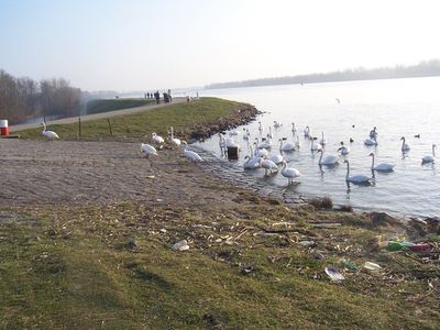 Ferienwohnung für 4 Personen (49 m²) in Schwanau 9/10