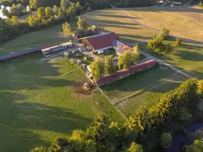 Ferienwohnung für 7 Personen (130 m²) in Schwanau 5/10