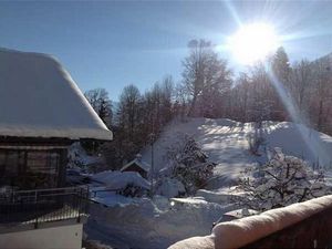 22766535-Ferienwohnung-2-Schwanden bei Brienz-300x225-4