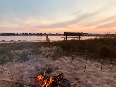 Ferienwohnung für 4 Personen (70 m²) in Schwanewede 6/10