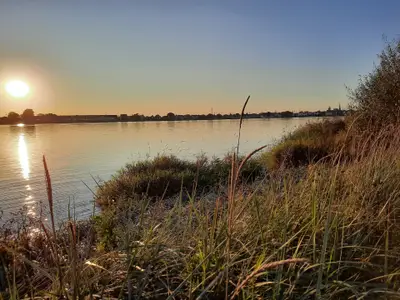 Ferienwohnung für 4 Personen (65 m²) in Schwanewede 9/10