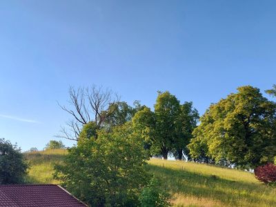 Ferienwohnung für 2 Personen (60 m²) in Schwangau 10/10