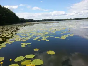 Ferienwohnung für 4 Personen (55 m²) in Schwarz
