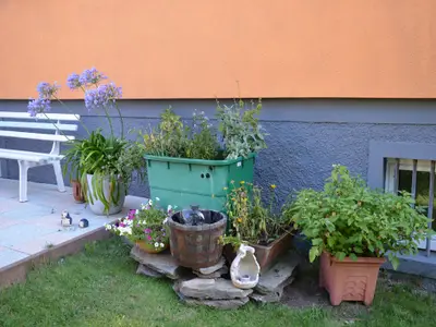kleine Kräuterecke im Garten
