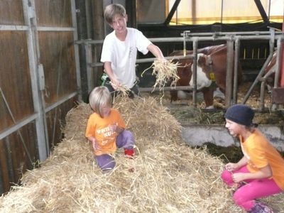 Ferienwohnung für 4 Personen (50 m²) in Schwarzenbach am Wald 4/10