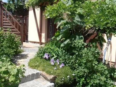 GARTEN/EINGANGSBEREICH
