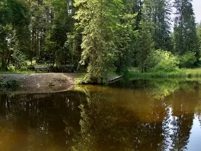 Ferienwohnung für 4 Personen (48 m²) in Schwarzenberg (Bregenzerwald) 10/10