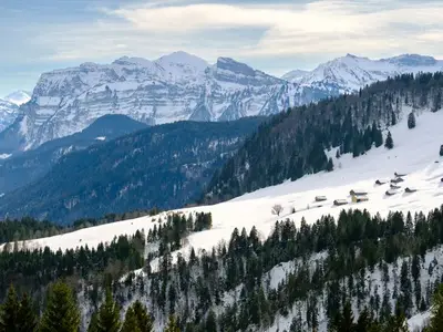Ferienwohnung für 4 Personen (48 m²) in Schwarzenberg (Bregenzerwald) 6/10