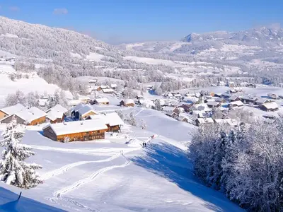 Ferienwohnung für 4 Personen (48 m²) in Schwarzenberg (Bregenzerwald) 7/10