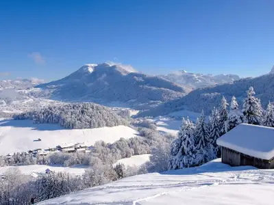 Ferienwohnung für 4 Personen (48 m²) in Schwarzenberg (Bregenzerwald) 8/10