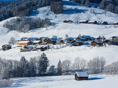 Ferienwohnung für 5 Personen (55 m²) in Schwarzenberg (Bregenzerwald) 2/10