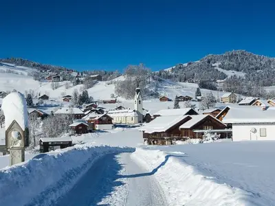 Ferienwohnung für 5 Personen (55 m²) in Schwarzenberg (Bregenzerwald) 3/10
