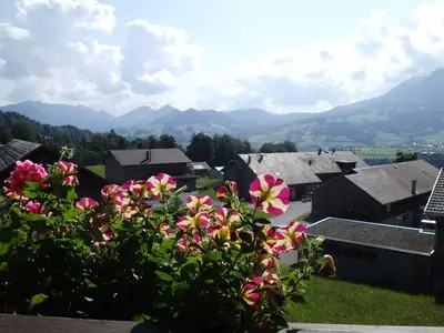 Ferienwohnung für 4 Personen (60 m²) in Schwarzenberg (Bregenzerwald) 5/10