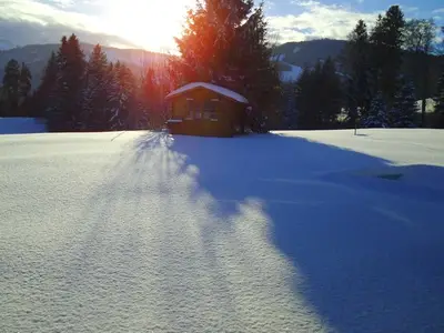 Ferienwohnung für 4 Personen (60 m²) in Schwarzenberg (Bregenzerwald) 2/10