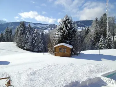 Ferienwohnung für 4 Personen (60 m²) in Schwarzenberg (Bregenzerwald) 5/10