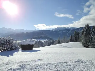 Ferienwohnung für 4 Personen (60 m²) in Schwarzenberg (Bregenzerwald) 7/10