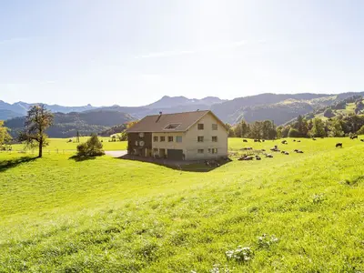 Ferienwohnung für 3 Personen (40 m²) in Schwarzenberg (Bregenzerwald) 2/8