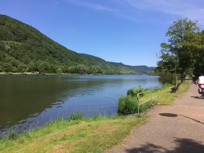 IMG-20190617-WA0055