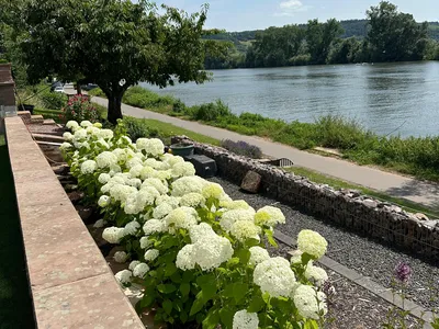 7dfa8b82-9e4c-43b3-bc93-3e459a18745d