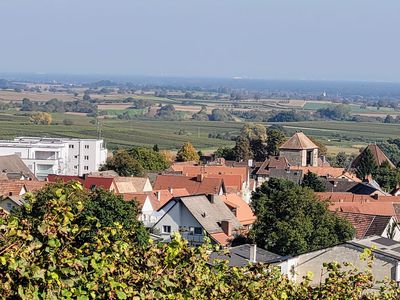 Ausblick vom Sonnenberg zum Weintor