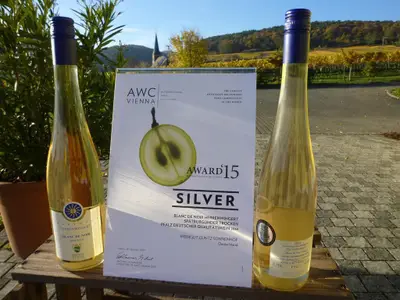 Blanc de Noir 2014 awc vienna