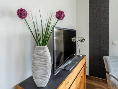 TV / Multimedia