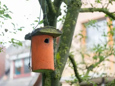 Ferienwohnung für 2 Personen (65 m²) in Schwerinsdorf 9/10