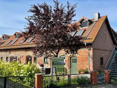 Ferienwohnung für 2 Personen (24 m²) in Schwielochsee 2/10