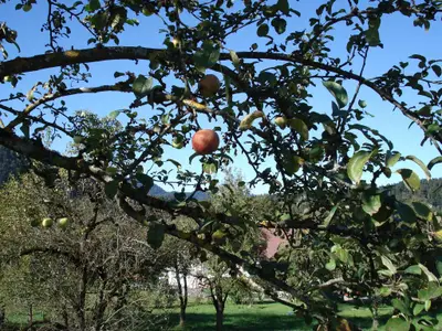 DSC00030