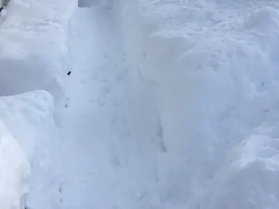 Ferienwohnung für 4 Personen (85 m²) in Scuol 7/10