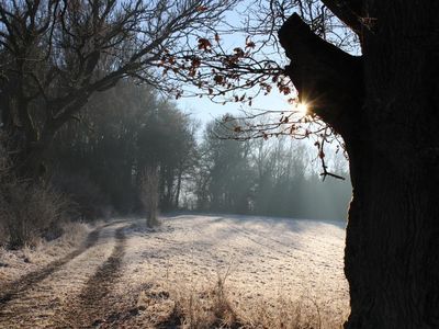 Weg Richtung Hessenblick Weg Richtung Hessenblick