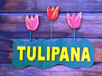 Tulipana