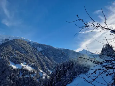 Ferienwohnung für 4 Personen (50 m²) in See 4/10