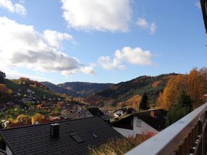 Ferienwohnung für 4 Personen in Seebach (Ortenaukreis)