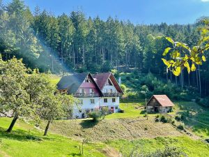 Ferienwohnung für 2 Personen in Seebach (Ortenaukreis)