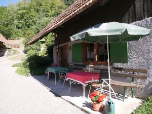 18398224-Ferienwohnung-2-Seebach (Ortenaukreis)-300x225-2