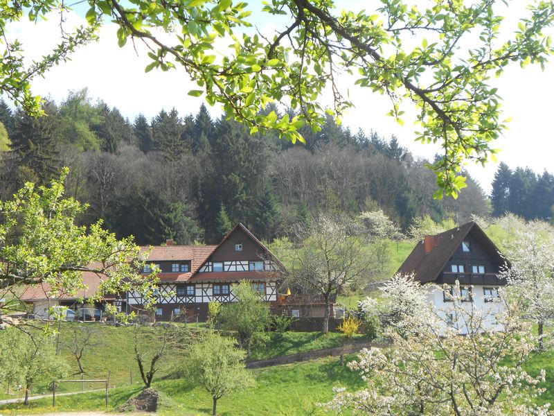 18999237-Ferienwohnung-4-Seebach (Ortenaukreis)-800x600-0