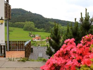 21661787-Ferienwohnung-4-Seebach (Ortenaukreis)-300x225-4