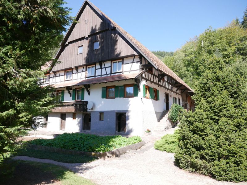 18398224-Ferienwohnung-2-Seebach (Ortenaukreis)-800x600-0