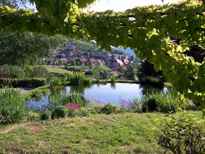 Blick aus der Gartenlaube