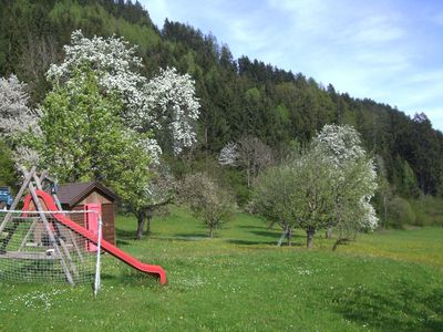 Obstbaumblüte m
