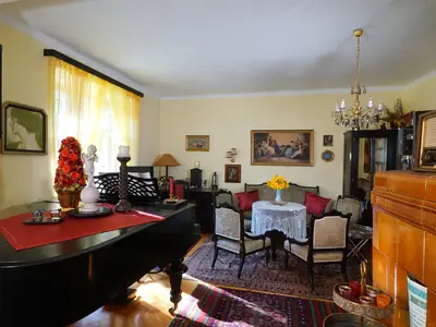 Flügel Pallik & Schicker Wien