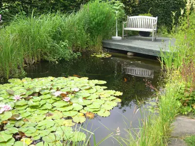Gartenteich von hinten